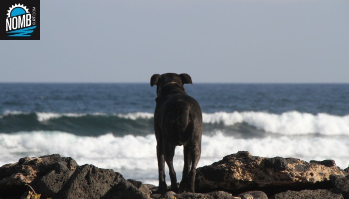 Watching and understanding your surfspot is vital to secure an epic surfsession