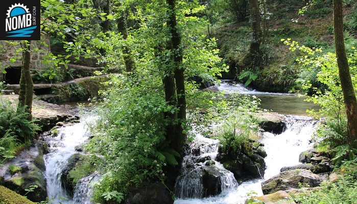 Waling in the region of las Rias Baixas