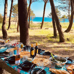 Picnic in the pine forest in Galicia