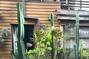 Accommodation on our surftrip to Chile